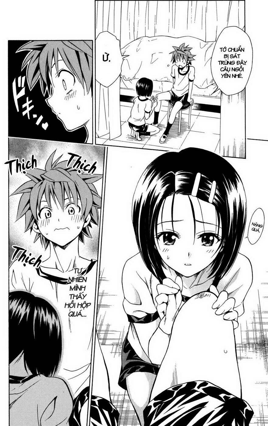 bọn tớ thích cậu! rito chapter 84 13