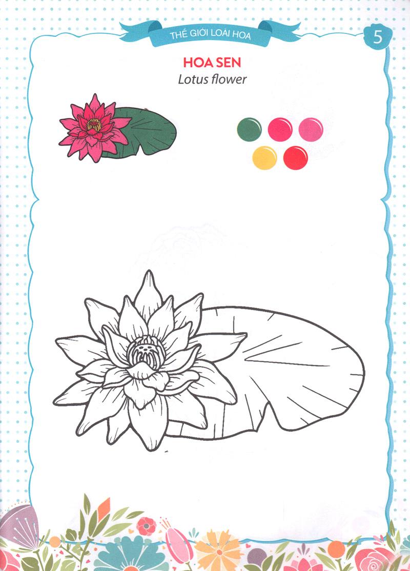 Thế Giới Loài Hoa - Sắc Màu Của Bé 6