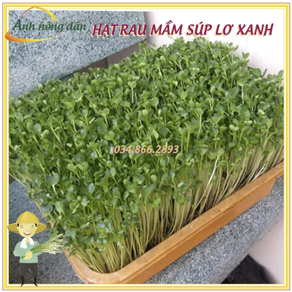 Gói 20g Hạt rau mầm rau súp lơ xanh - hạt chất lượng tốt, nảy mầm đồng đều