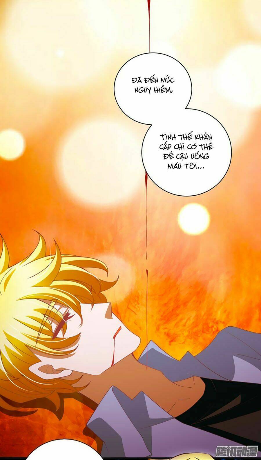 người yêu khát máu của tôi chapter 42 13