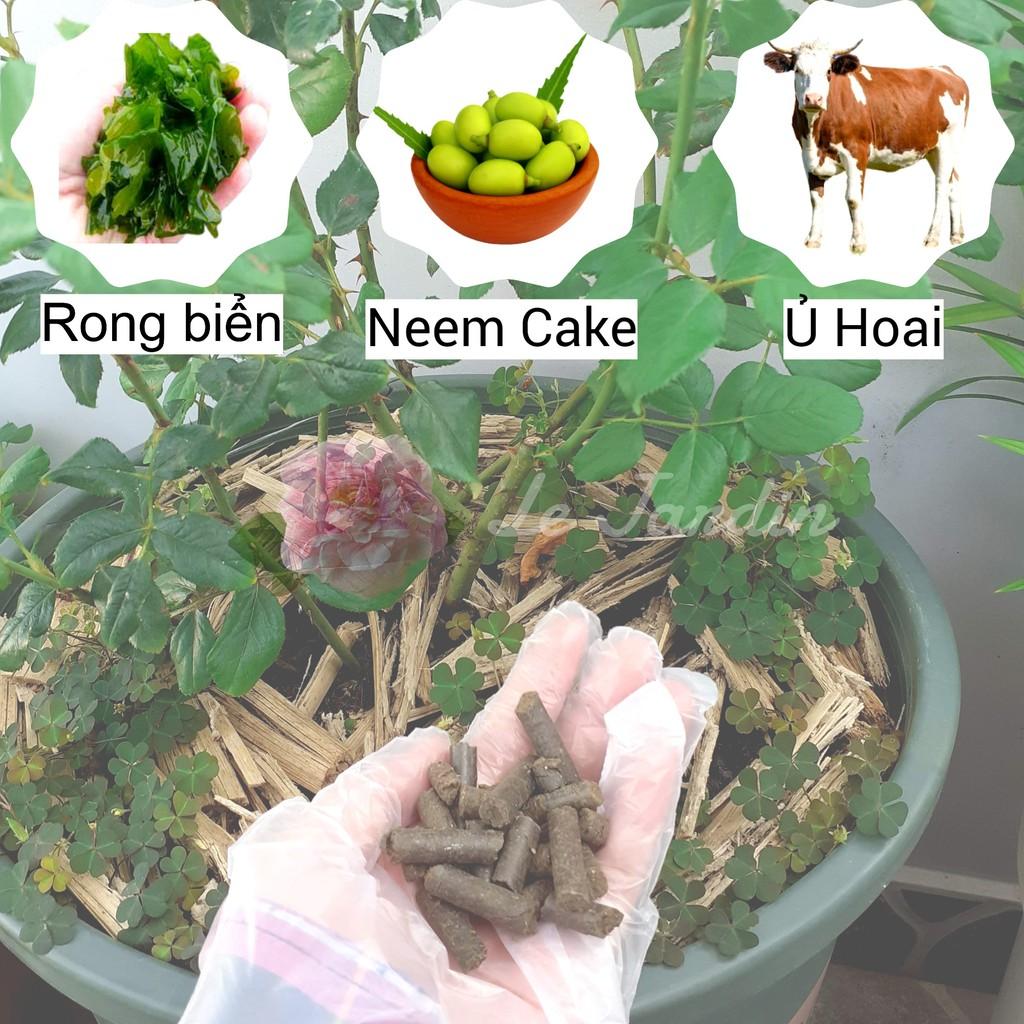 Phân rong biển Docneem túi 1kg SIÊU KÍCH RỄ