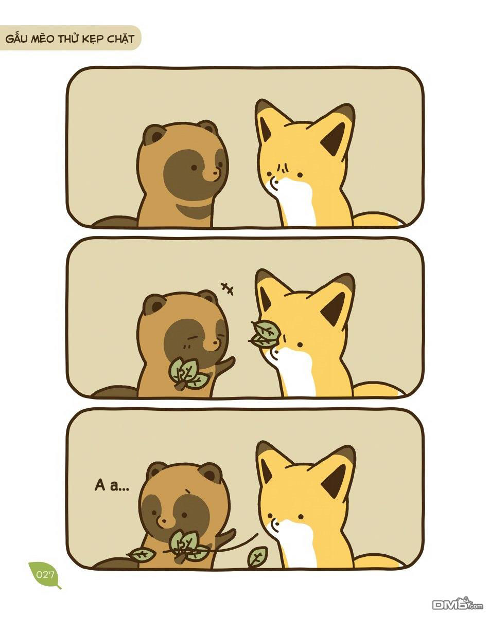 cáo và gấu mèo chapter 10 4