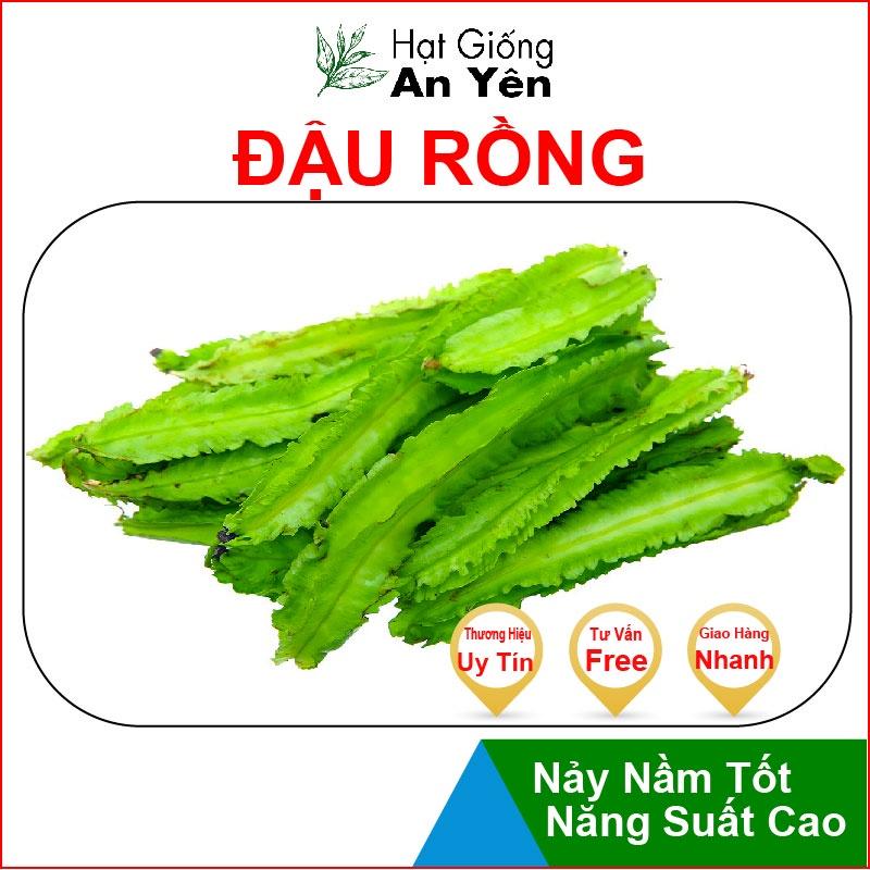 Hạt giống Đậu Rồng Xanh thu hoạch sớm, dễ trồng, nảy mầm cao, sinh trưởng khoẻ