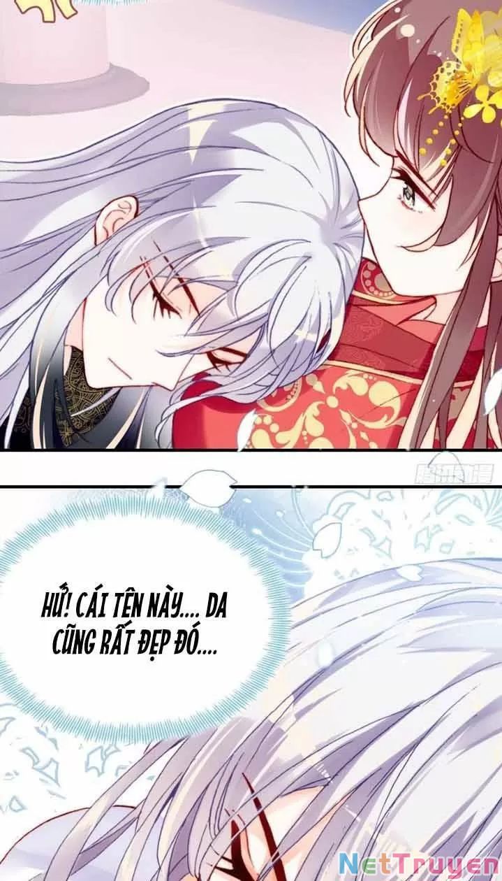 lại bị bệnh chiều chuộng quấn lấy chapter 5 5