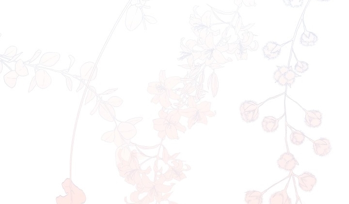 chuyện tình manhattan chapter 11 115