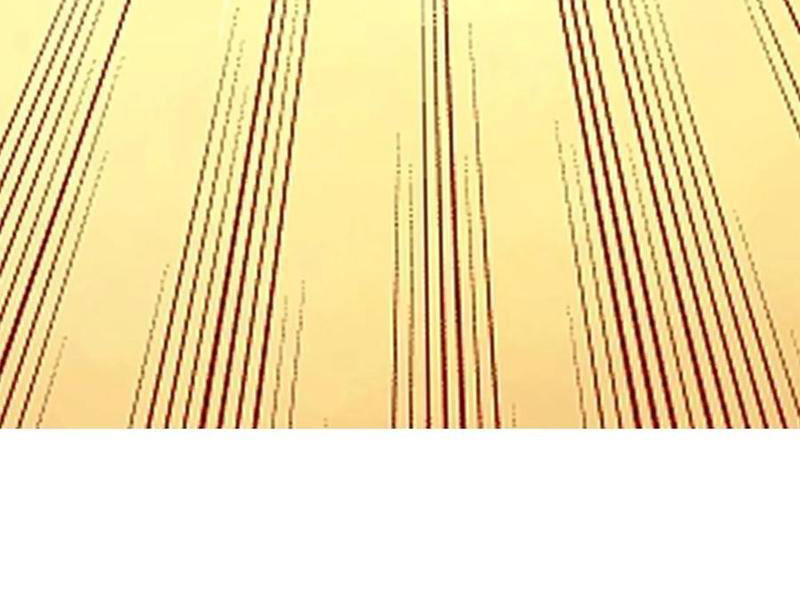 huyền huyễn: ta bắt đầu vô địch từ bại gia chapter 118 43