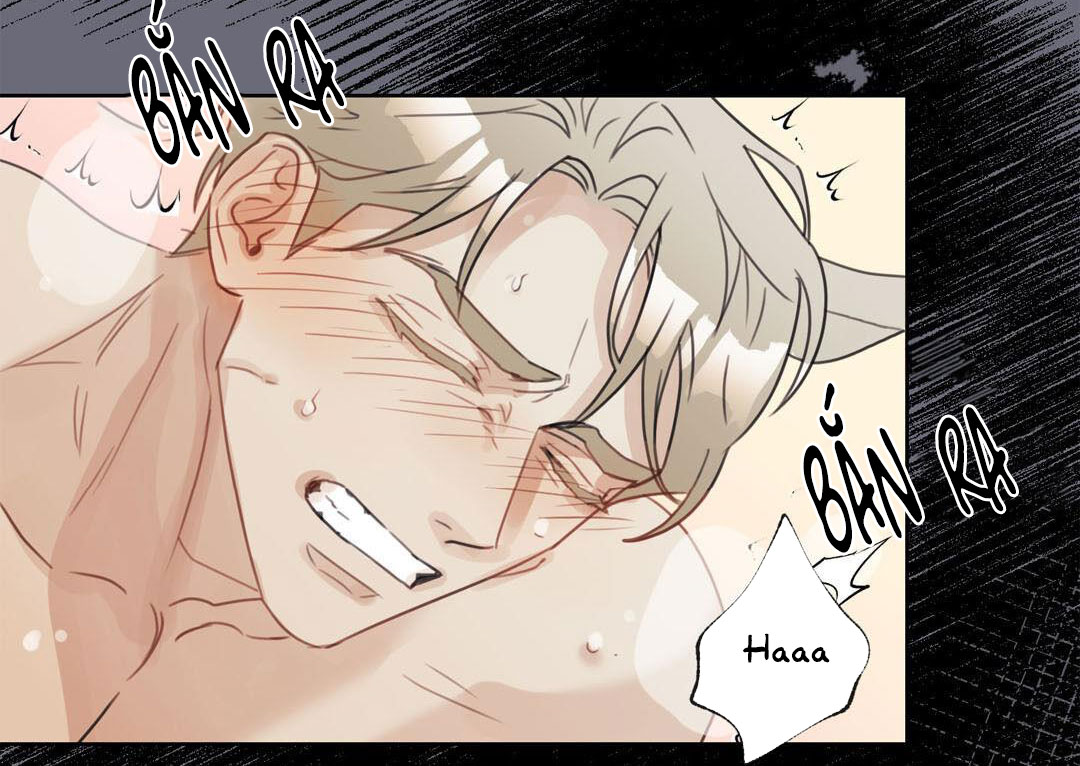 tôi sẽ là chồng em chapter 4 42