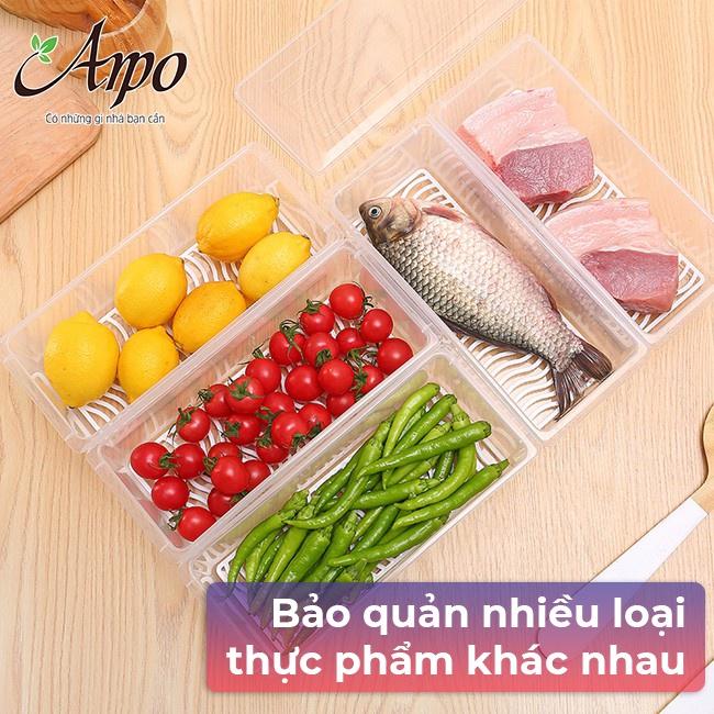 Hộp Nhựa Tủ Lạnh Bảo Quản Thực Phẩm Trong Suốt TÍch Hợp Khay Ráo Nước Giúp Thức Ăn Tươi Lâu - Hộp Tủ Lạnh Có Nắp