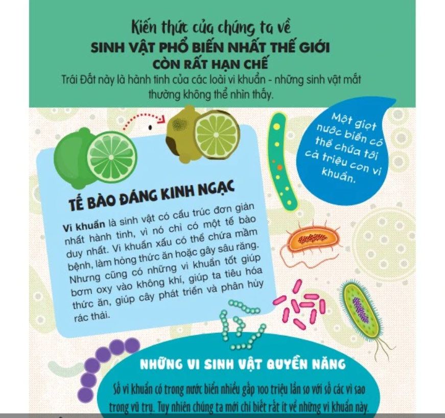 Sách Bản Quyền Micro Facts! Cùng Bé Khám Phá 500 Điều Thú Vị Về Khoa Học (Tái bản)