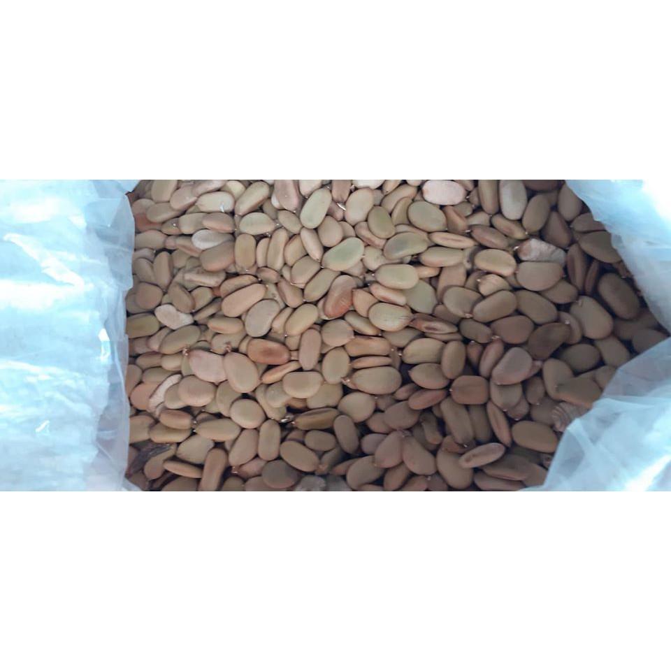700gram hạt keo gai giống