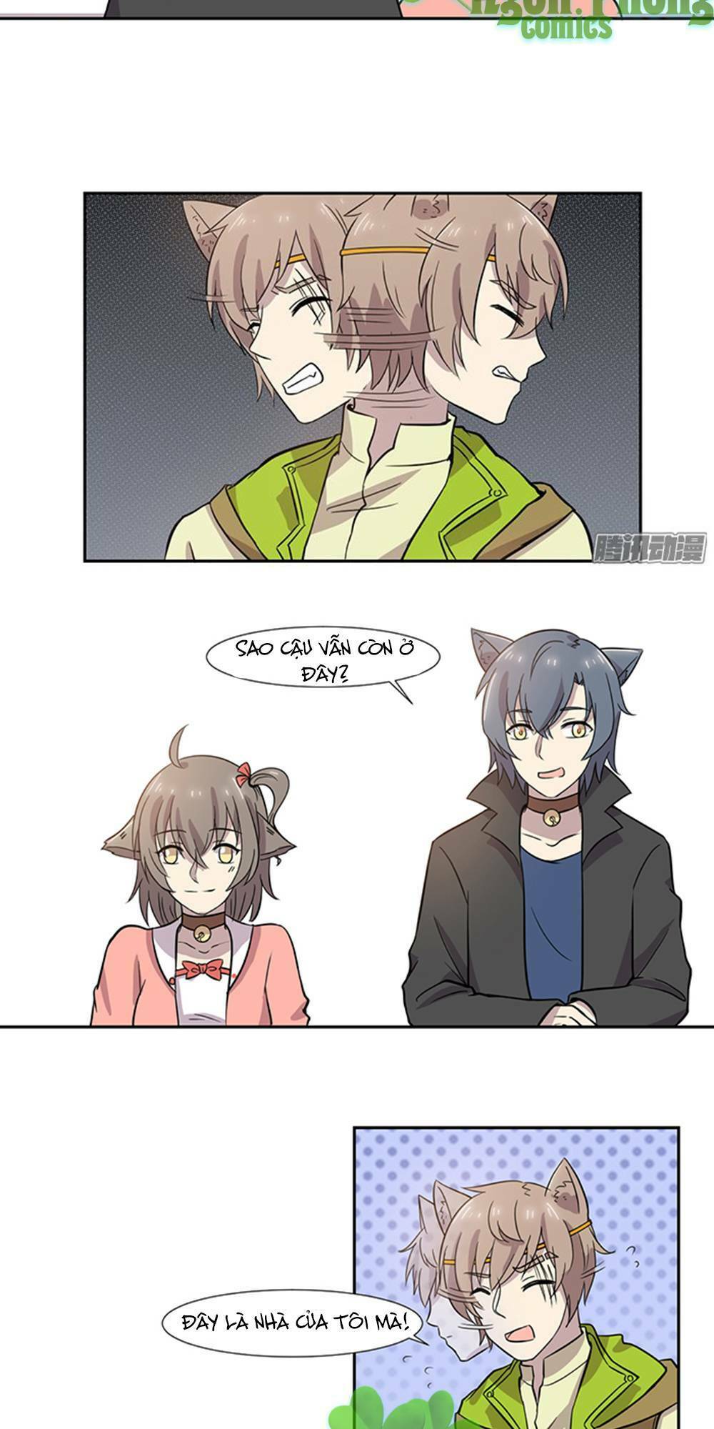 hai chú mèo totem chapter 24 5