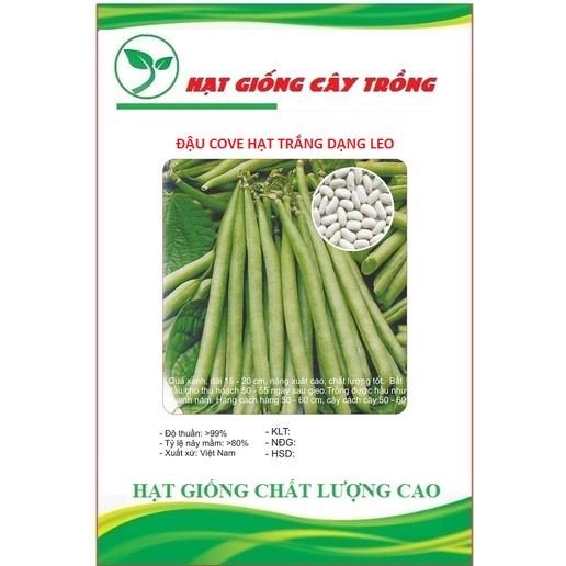 Hạt giống đậu cove hạt trắng dạng leo CT144 - Gói 10gram