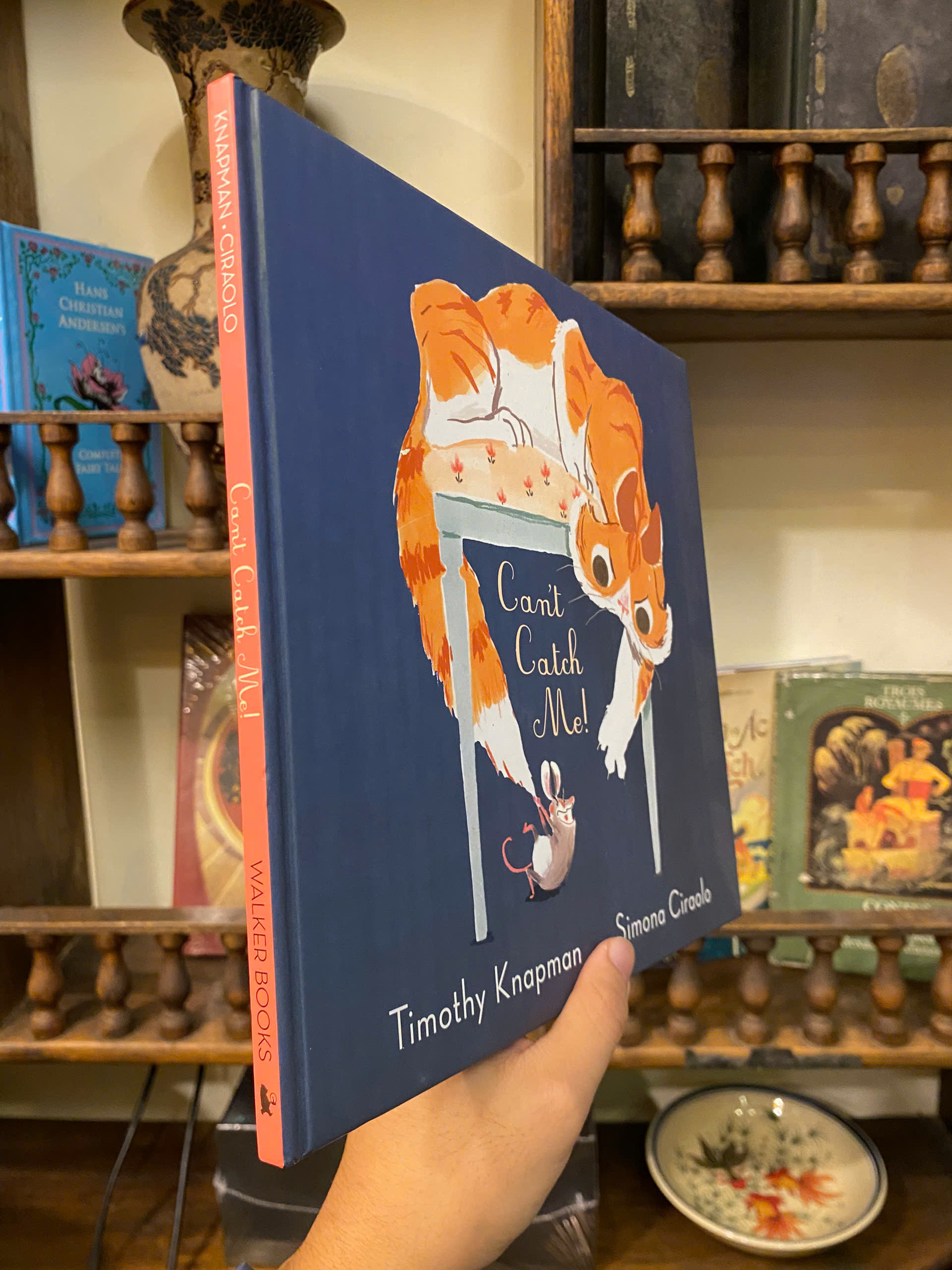 Sách - Can't Catch Me! by Timothy Knapman | English Children's Picture Book | Sách bìa cứng