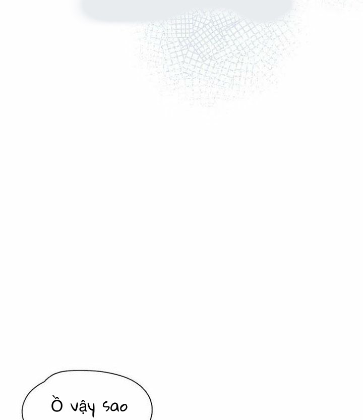 nỗi buồn của hoa cẩm tú cầu chapter 14 6