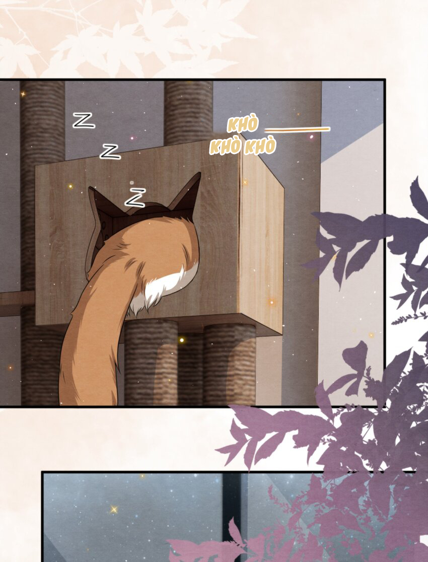 trạch mộc nhi tê chapter 54 38