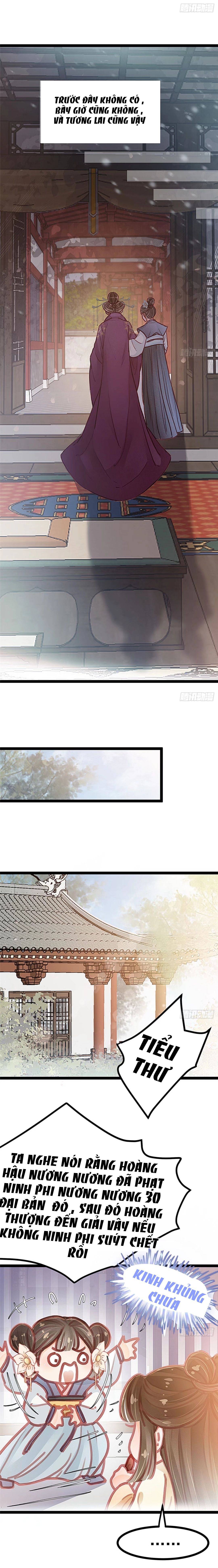 qúy phi muốn trở thành con cá mặn mòi chapter 23 15