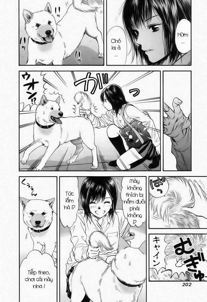 cô nàng yêu chó chapter 41 14