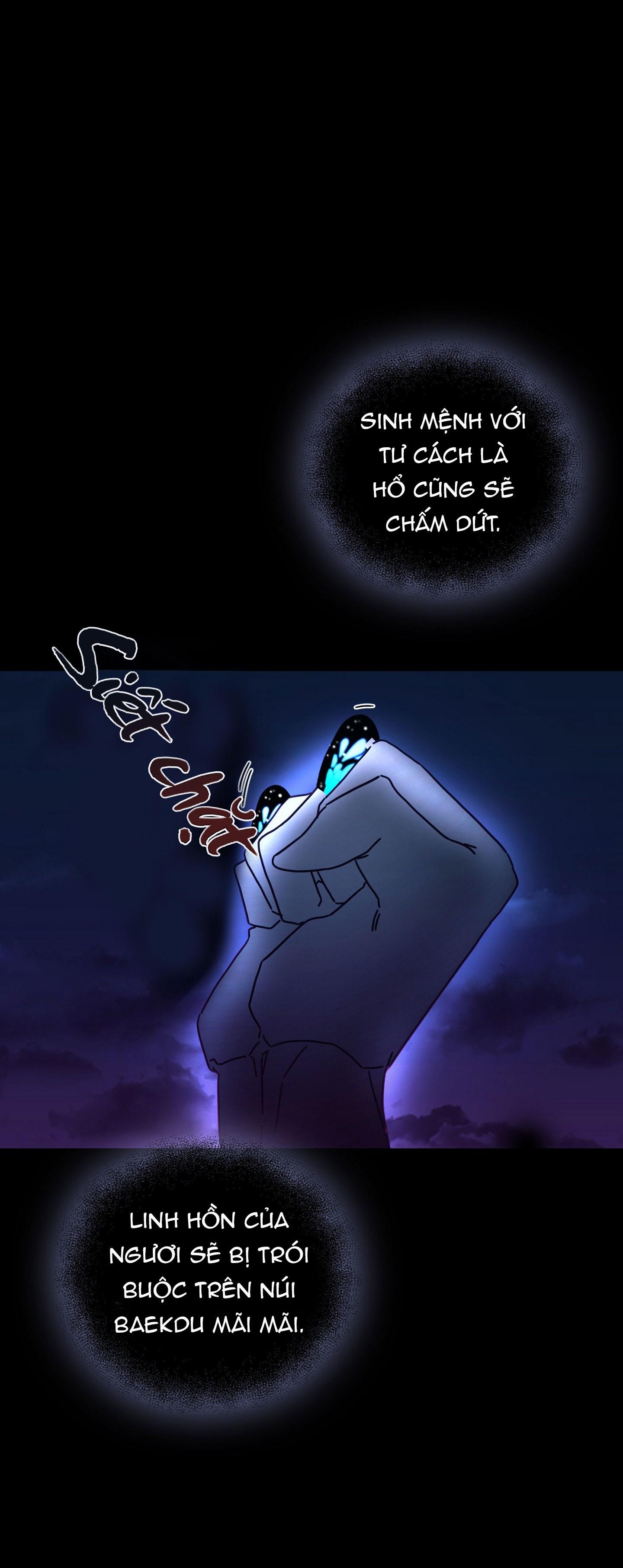 hổ trở về chapter 24 46