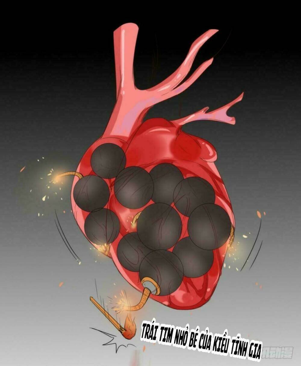 mộ thiếu, lão bà ngươi trọng sinh lại rồi! chapter 36 19