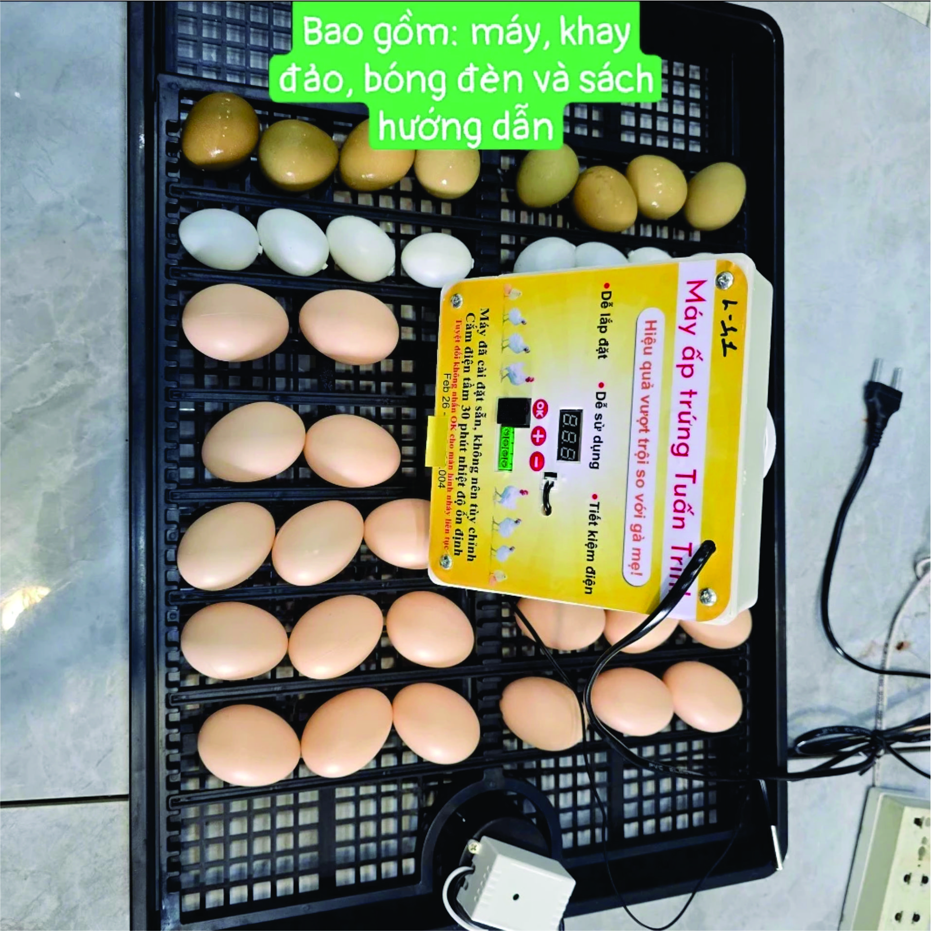 Combo Bộ máy ấp trứng tự động 54 trứng và khay đảo, cho gà vịt ngan ngỗng chim cút, chưa bao gồm thùng xốp