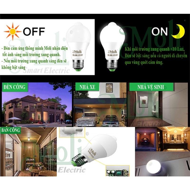 ĐÈN LED CẢM ỨNG CHUYỂN ĐỘNG HỒNG NGOẠI MOLI