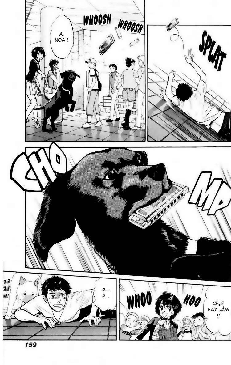 cô nàng yêu chó chapter 17 11