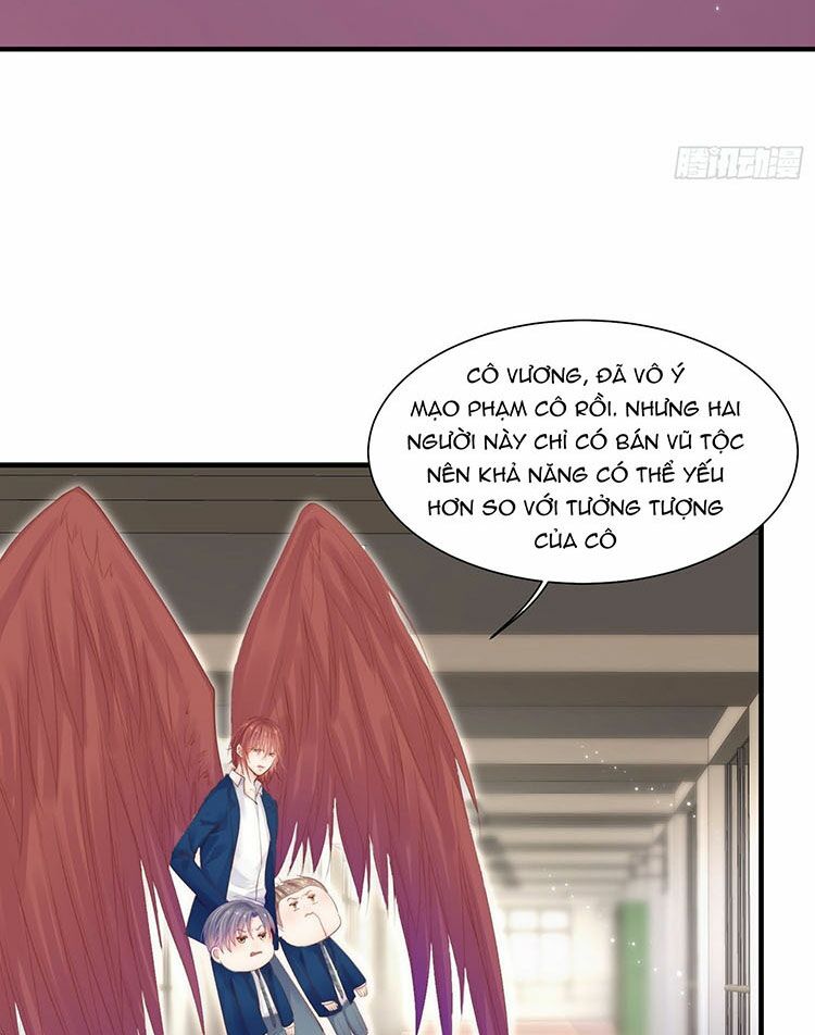 triều tây, in or out chapter 41 14