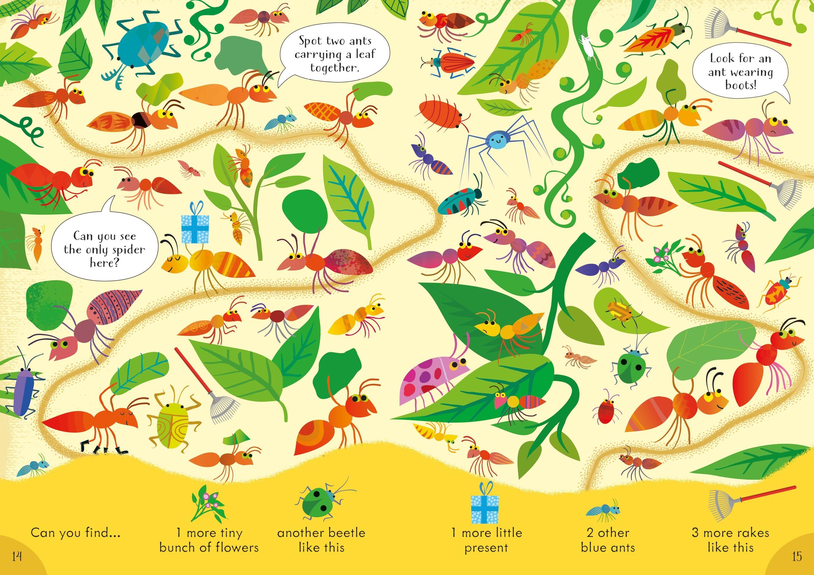 Look And Find Puzzles Bugs