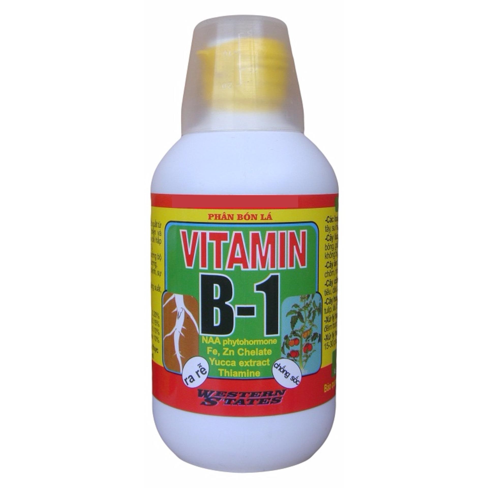 Thuốc phục hồi cây suy yếu siêu ra rễ Vitamin B1 cho cây trồng  220ml (vàng)