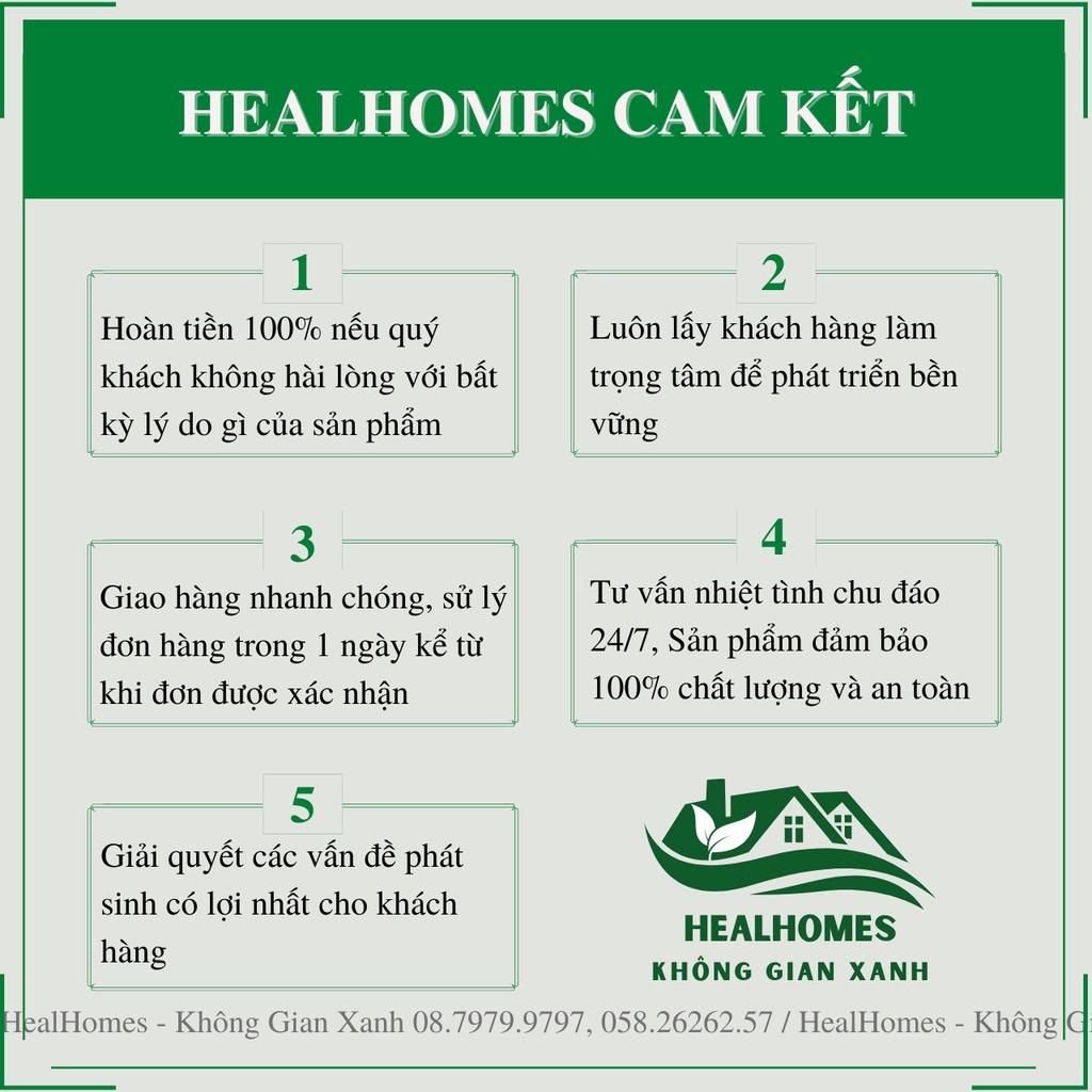 GHẾ BẬP BÊNH PAPASAN KÈM VẢI BỐ CAO CẤP Ghế Lười, Cho Người già / HealHomes – Không Gian Xanh