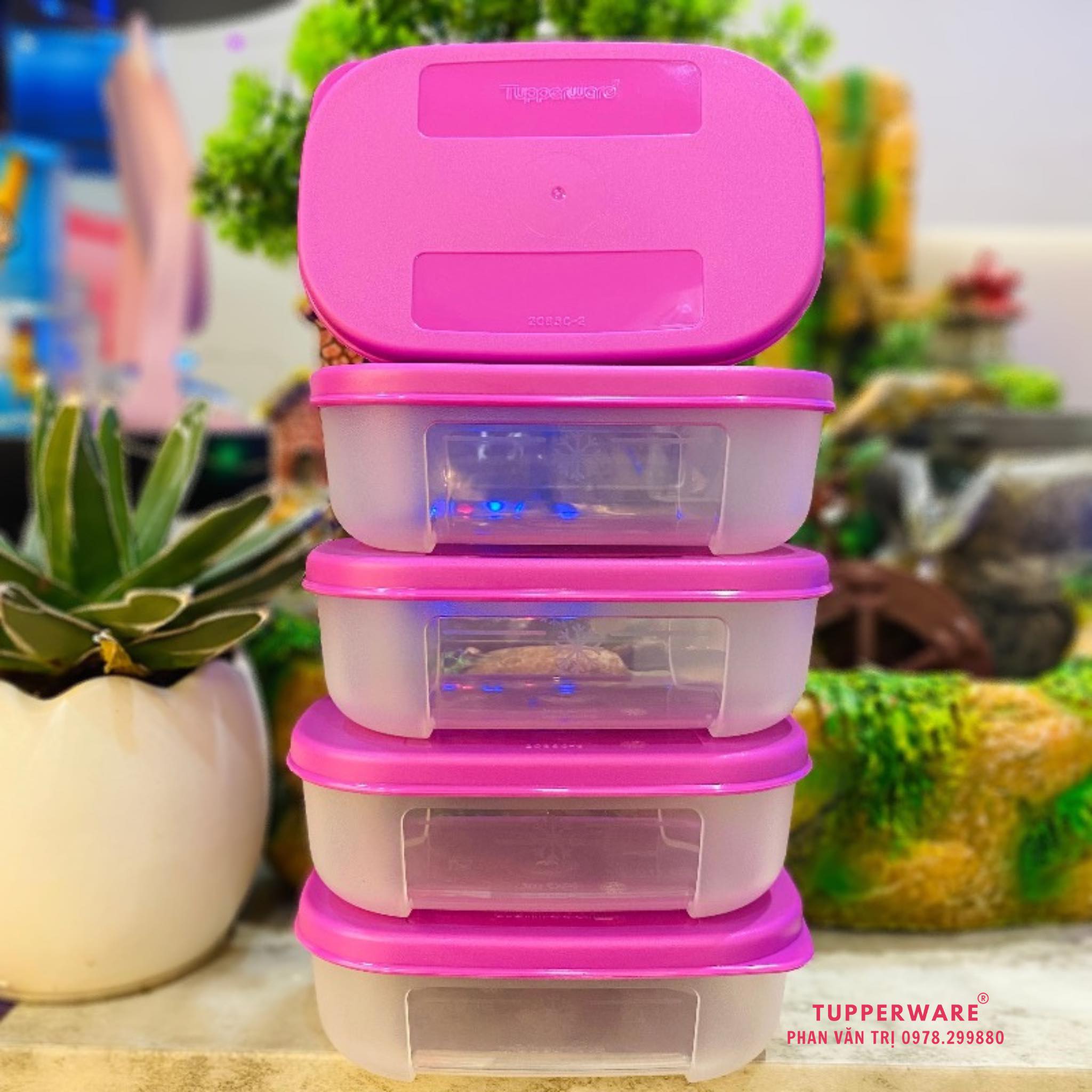 Hộp Trữ Đông Mini TUPPERWARE 140ml