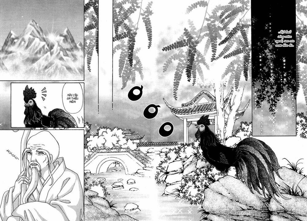 bird of youth chapter 6 2