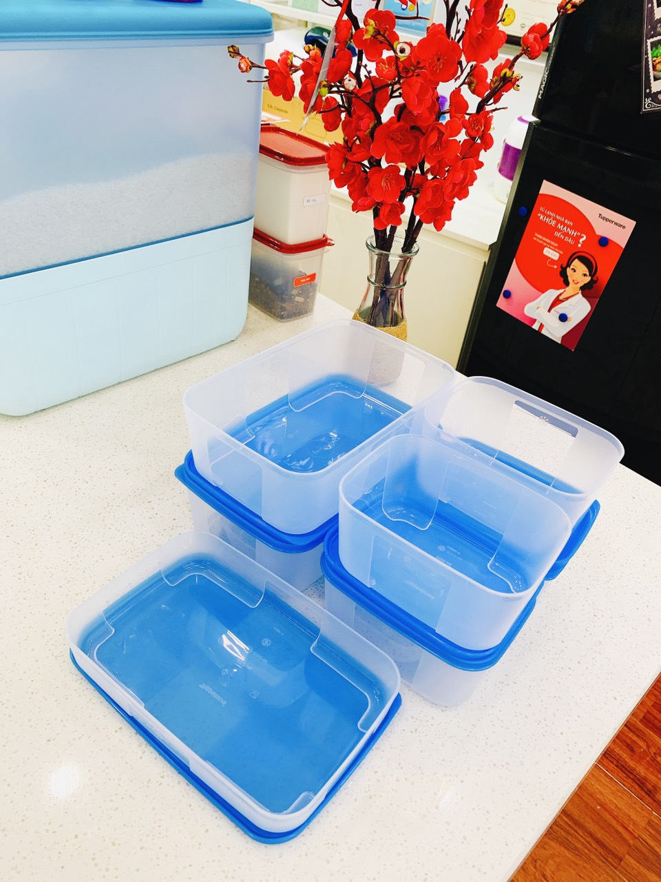 Bộ hộp trữ đông Freezermate Fit Set 7 hộp Tupperware chính hãng