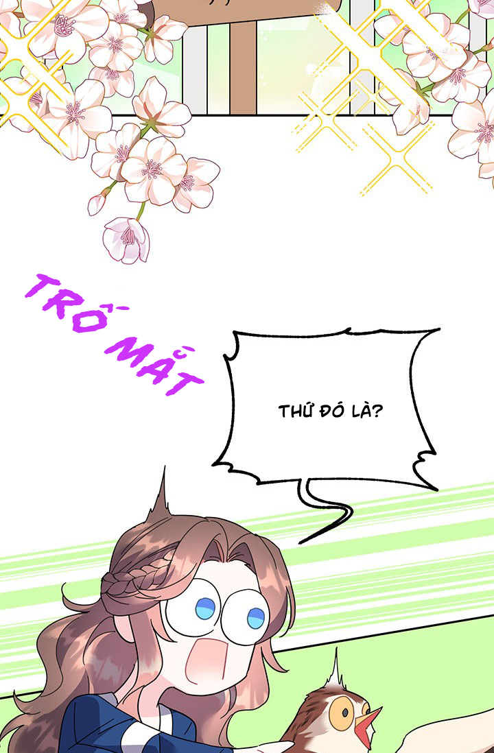 công chúa của loài chim chapter 22 86