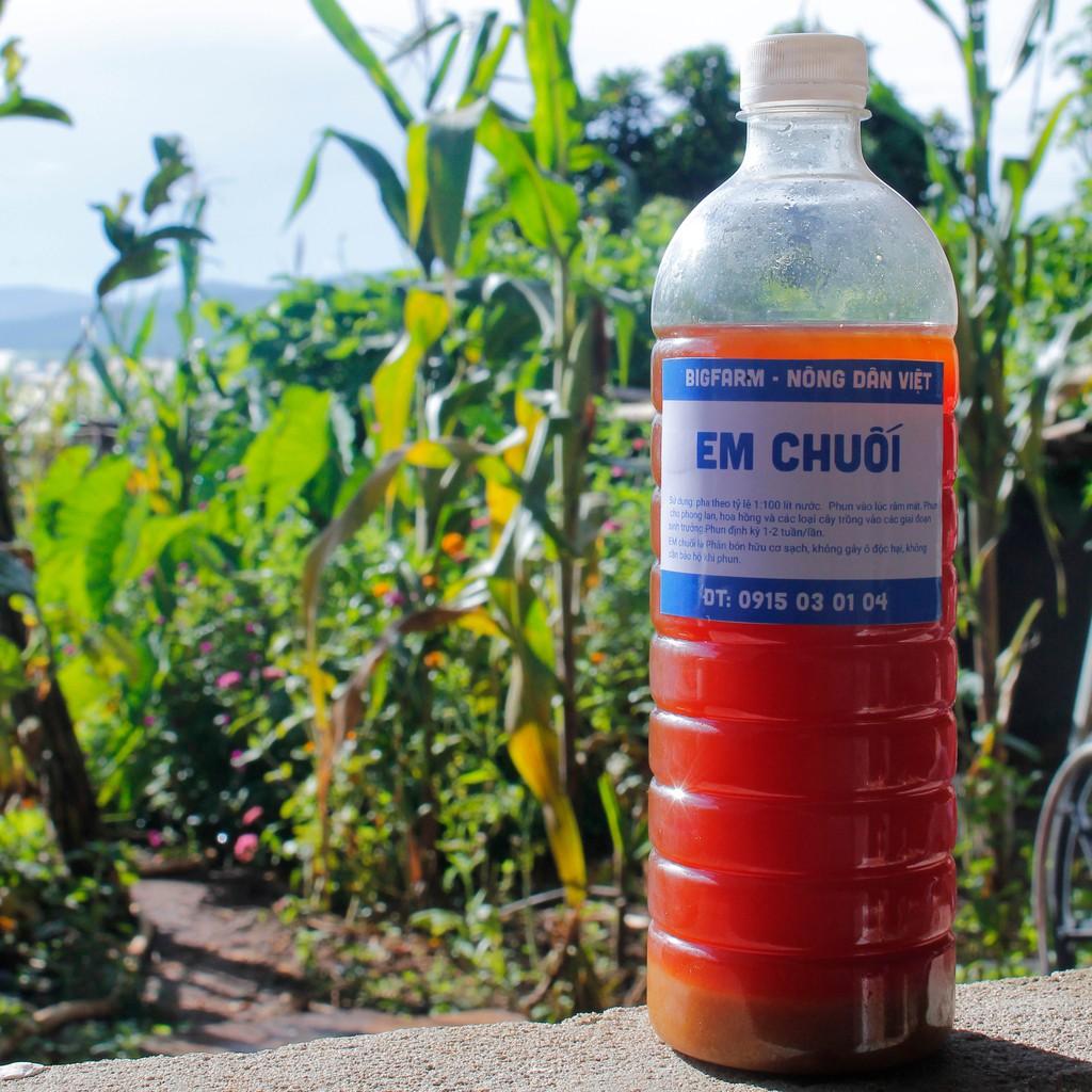 Dịch chuối lên men đậm đặc BigFarm làm phân bón cho hoa hồng, hoa lan, rau sạch hữu cơ loại 500ml