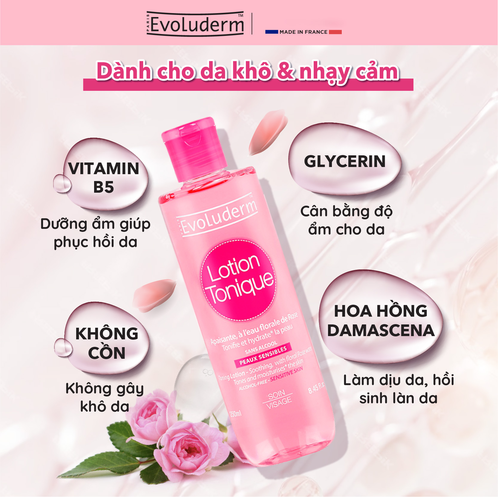 Nước hoa hồng Evoluderm se khít lỗ chân lông, dưỡng ẩm &amp; làm sạch 250ml