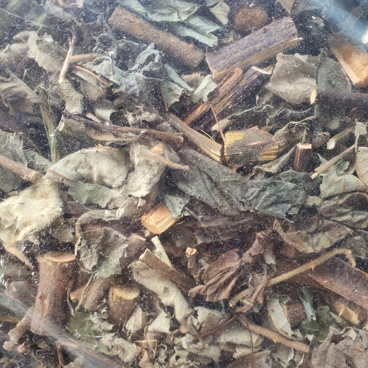 Túi 1Kg-Cây Bầu Đất Mâm Xôi Rừng-Tốt cho chị em phụ nữ