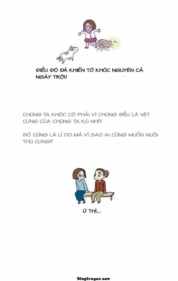 my kitty and old dog chapter 17 6