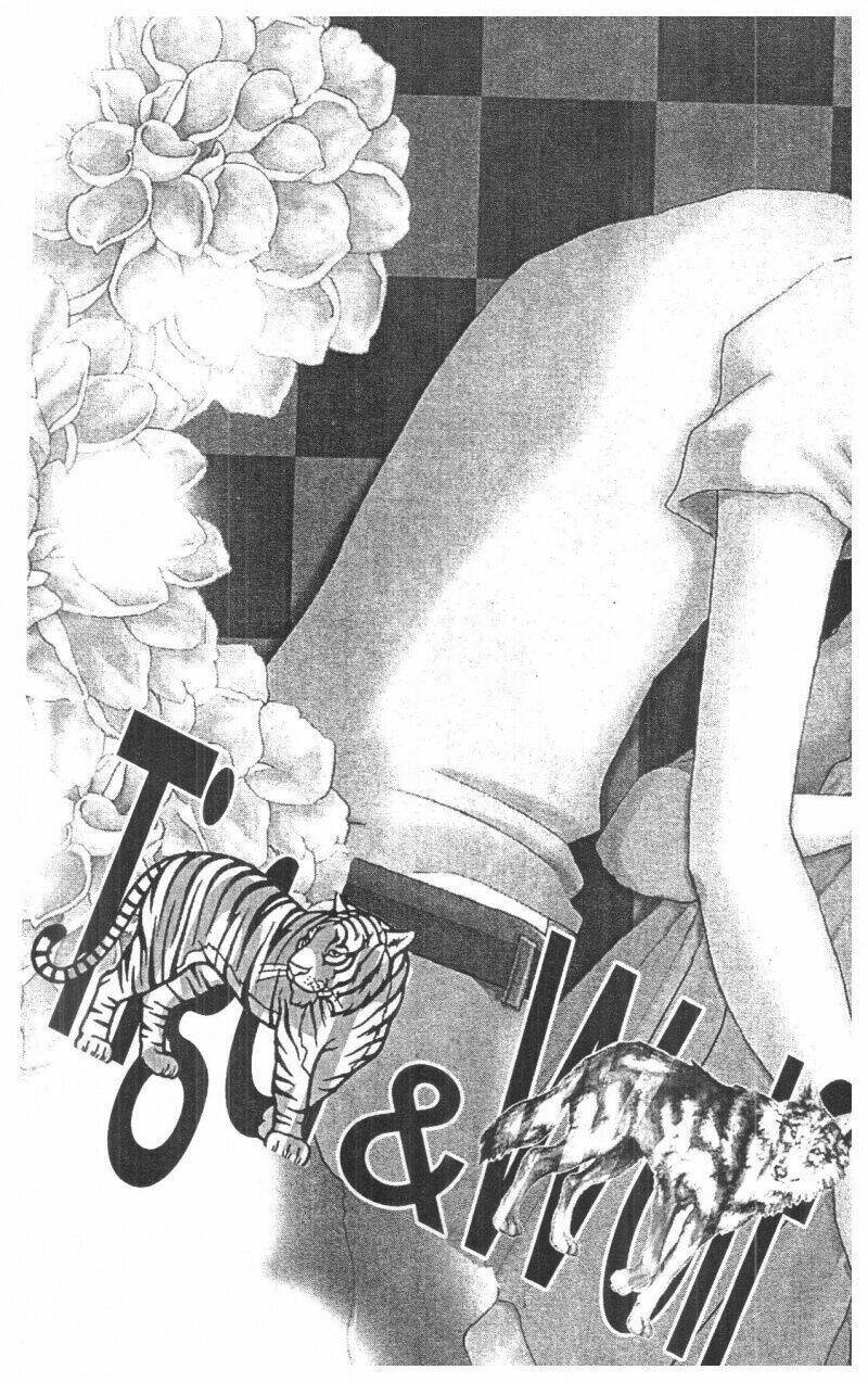 tigers and wolves chapter 1 64