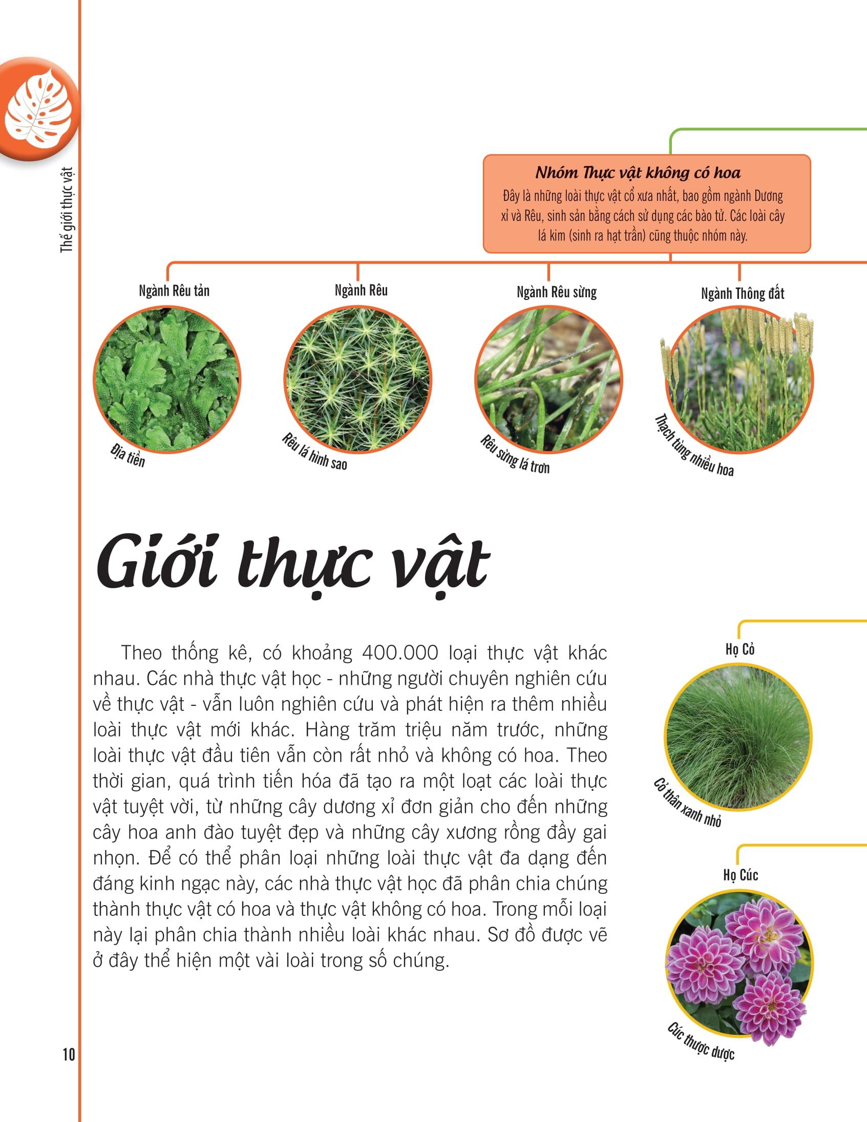 Bách Khoa Thư Về Thế Giới Thực Vật - Cây, Lá, Hoa Và Hạt