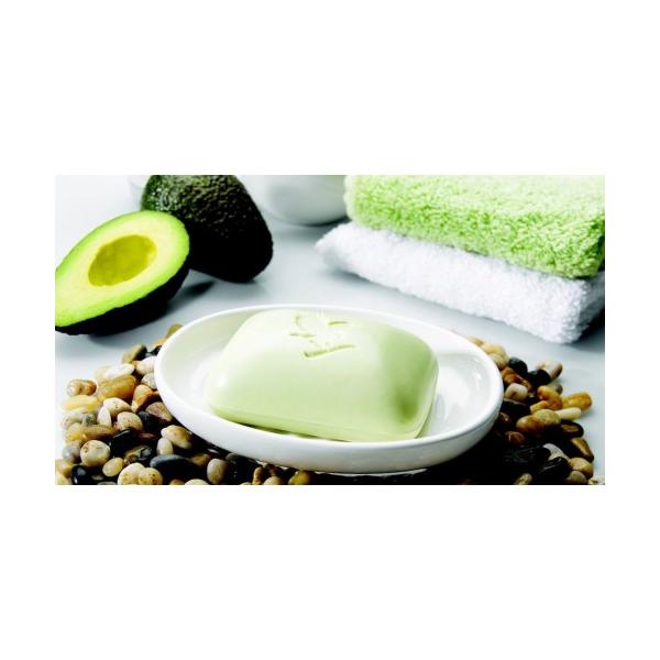 Combo 2 bánh Xà phòng rửa mặt và cơ thể Avocado Face and Body Soap (#284)- 142gr/cục