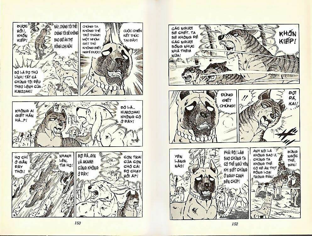 chú chó có nghĩa - ginga nagareboshi gin chapter 21 6