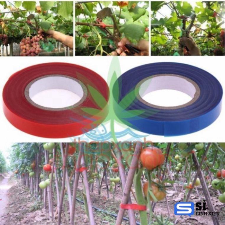 Bộ 5 Cuộn băng buộc cành cây