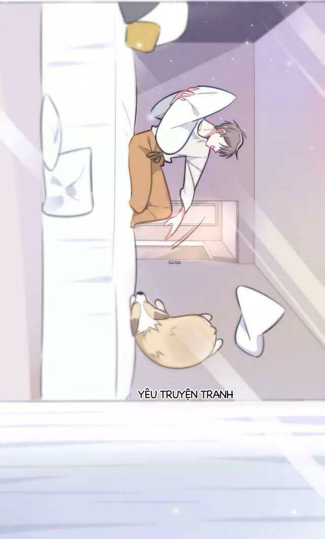 tình yêu trên cùng một dòng chapter 4.2 41