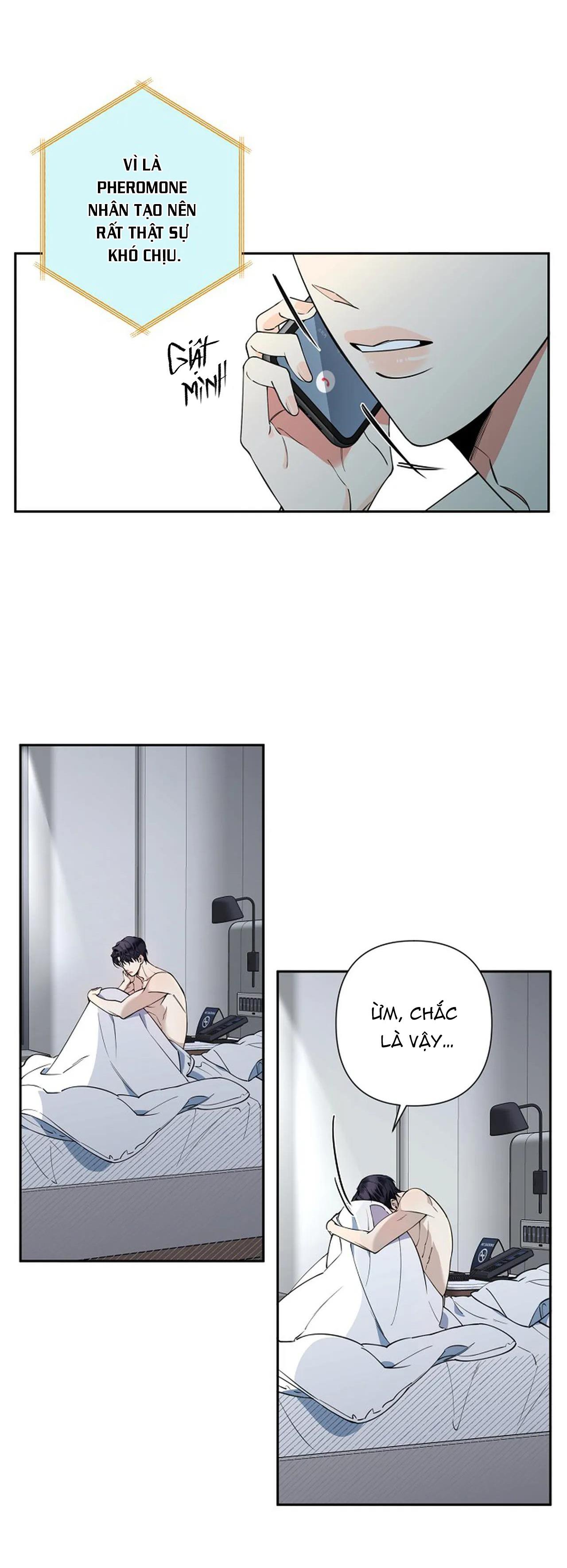 đêm dịu dàng chapter 16 24