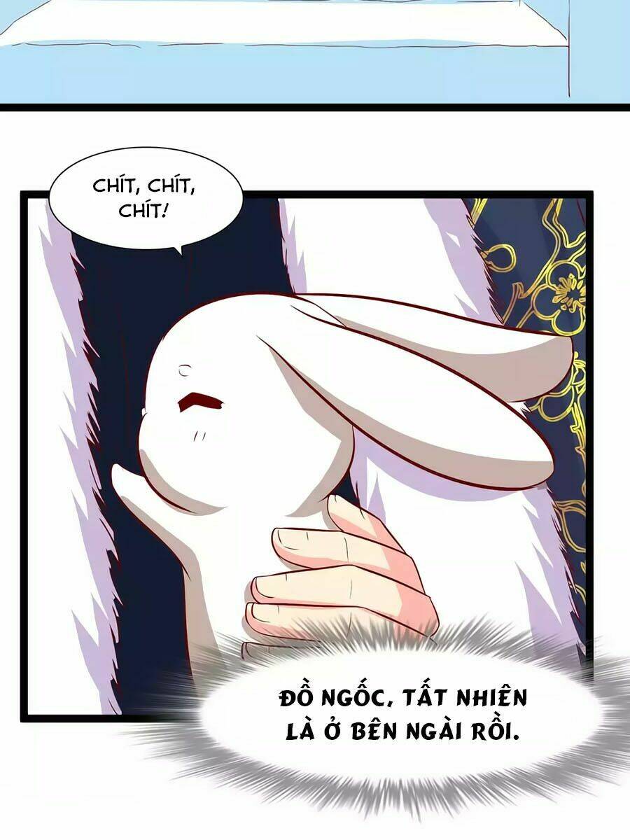 thỏ yêu tiểu vương phi chapter 102 19