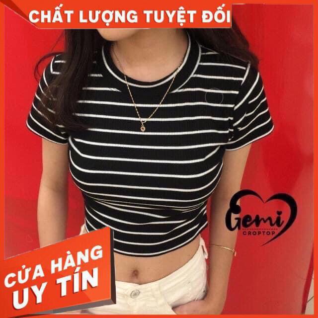 ÁO CROPTOP SỌC THUN GÂN XUẤT DƯ- ảnh thật tự chụp