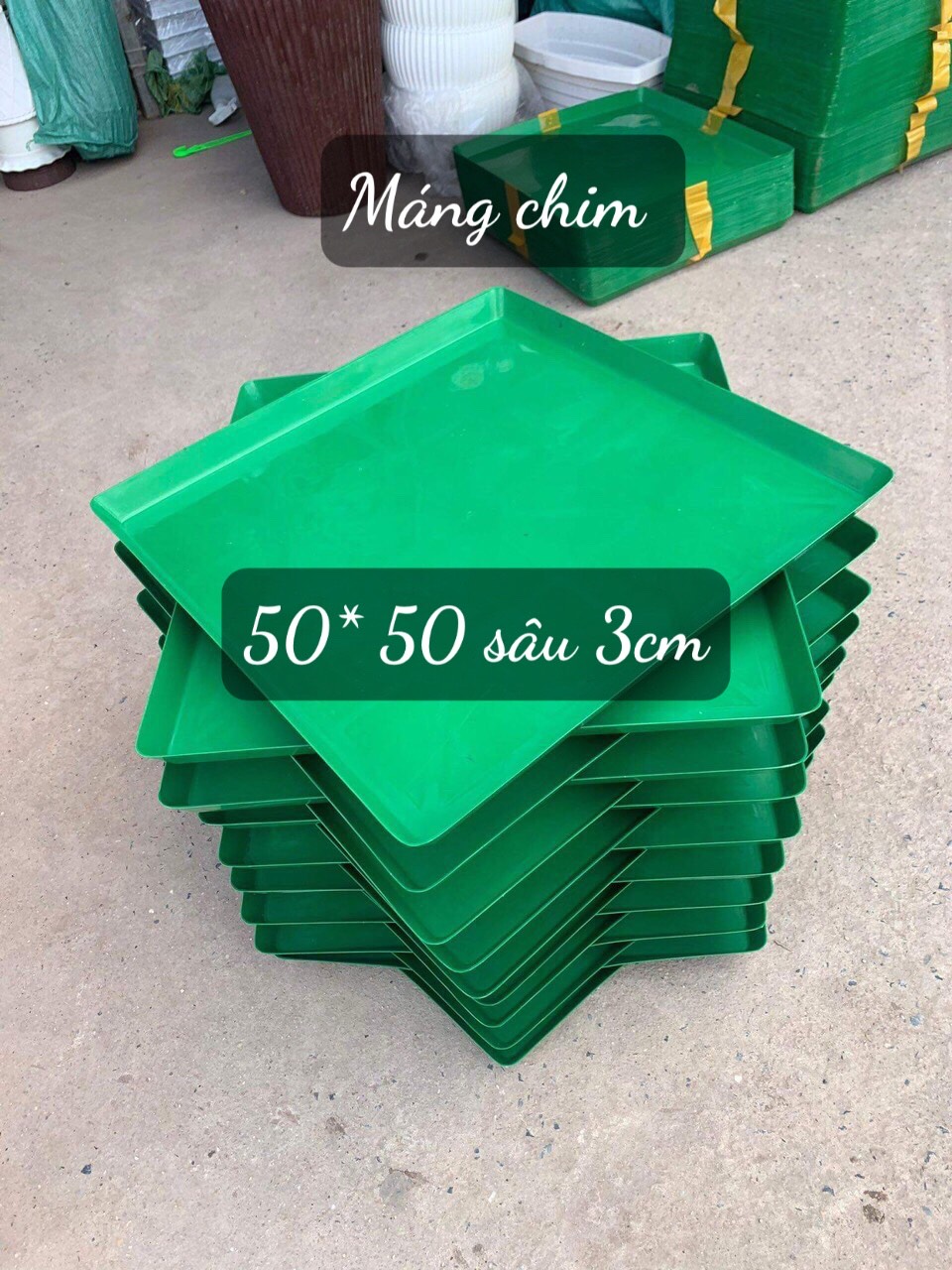 5 Khay Đựng Nước - Máng Chim  KT 50 X 50 Sâu 3cm