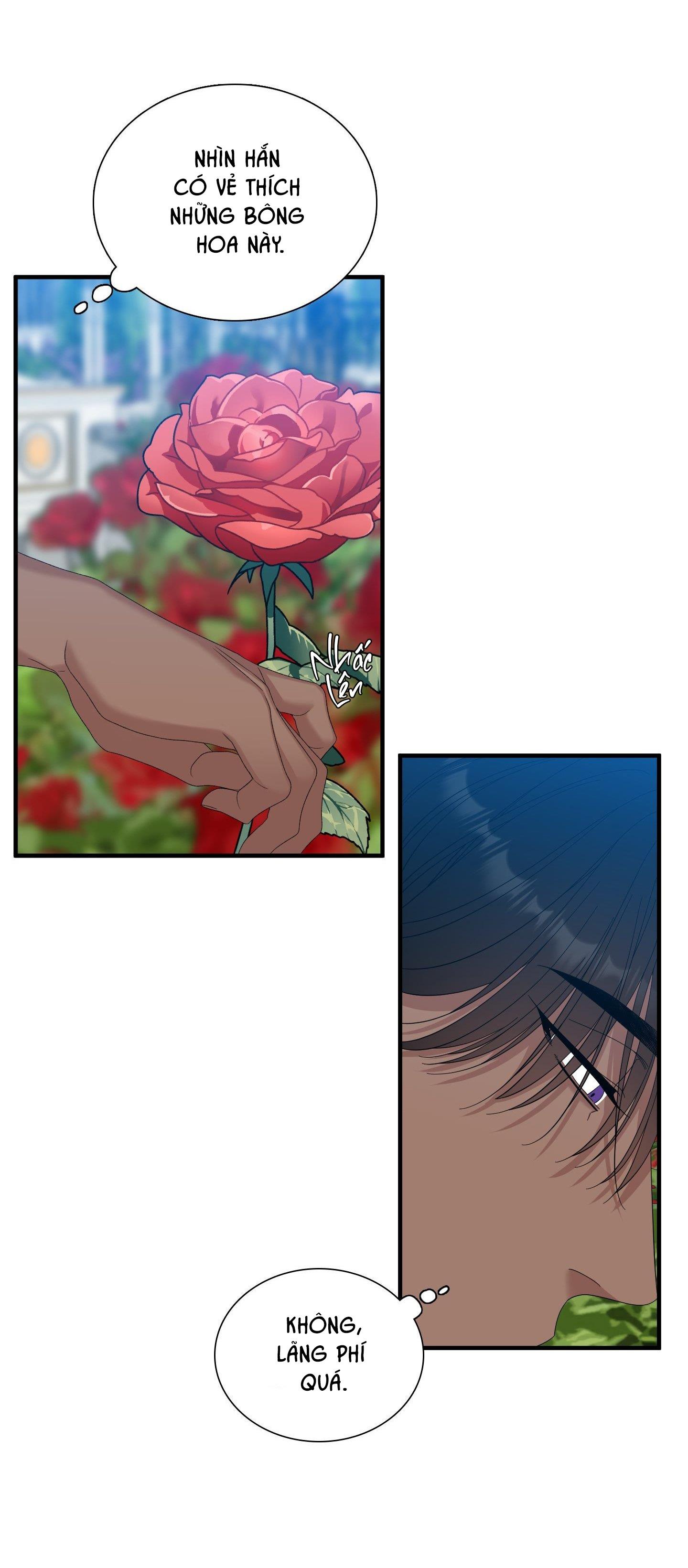 smyrna và capri chapter 42 14