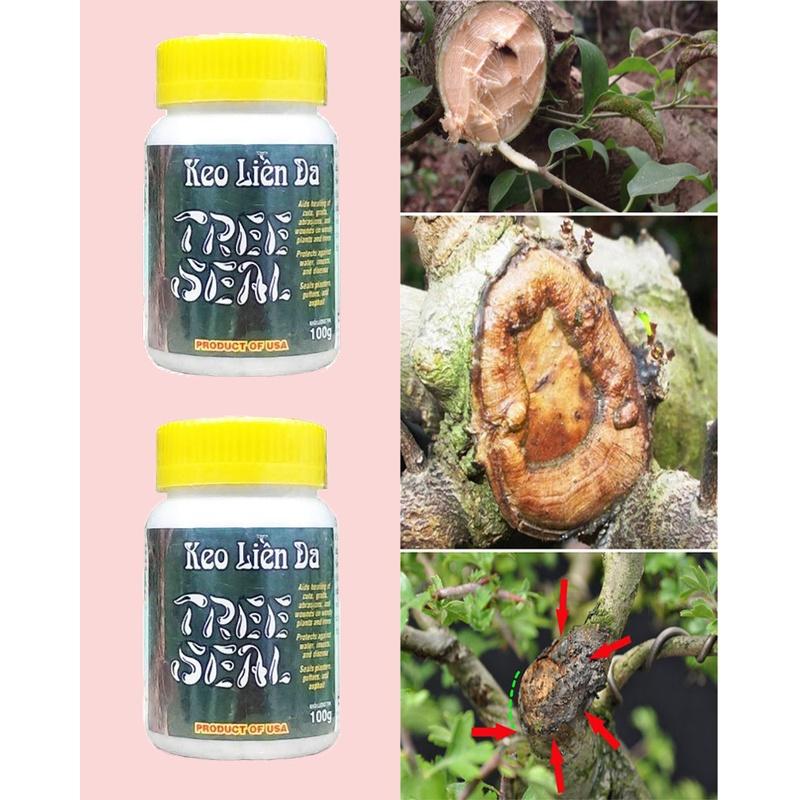 Keo Liền Da TREE SEAL 100g, Sản phẩm nhập Mỹ